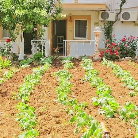 Manzara Олудениз