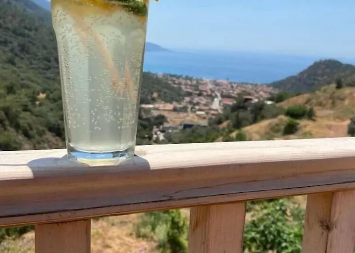 Manzara 2* Олудениз