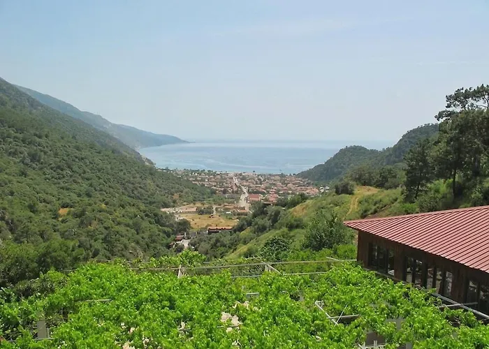 Manzara 2* Олудениз