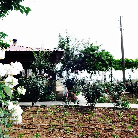 Manzara Otel 2*