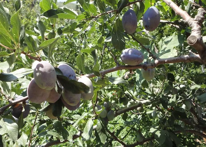 מלון Manzara אולודניץ