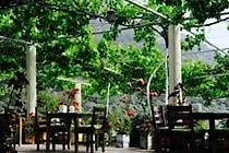 מלון Manzara אולודניץ