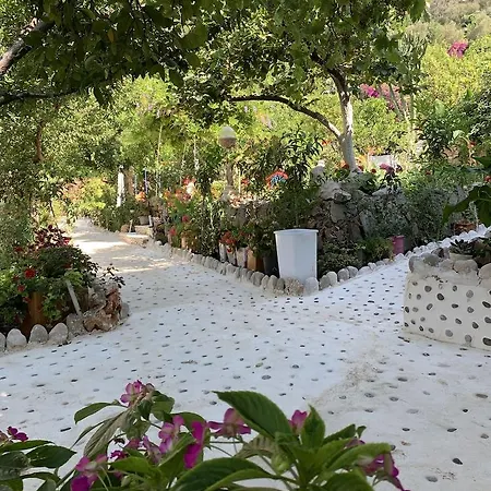 Manzara Otel